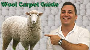 is wool the best carpet you can