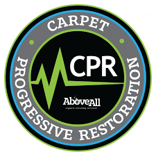 professional carpet cleaning