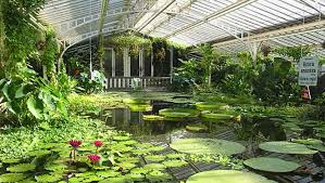 Mit ausstellungen, vorträgen und führungen bietet er ein attraktives. Botanischer Garten Lange Geschlossen Sanierungsarbeiten 95 5 Charivari