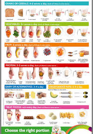 Recommend Daily Intake And Handy Portion Size Guide Coolguides