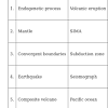 Endogenetic Process