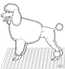All animal coloring pages including this poodle coloring page can be downloaded and printed. Pin On Dog Patterns