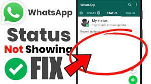 whatsapp status not showing