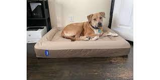 casper dog bed review paw of approval