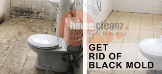 Black Mold In The Bathroom Your