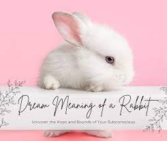 dream meaning of a rabbit uncover the