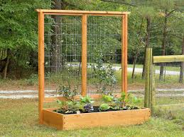 You can use tree branches or bamboo poles to make simple garden trellis like this one by violet fern. Growing Plants On Trellises How Tos Diy