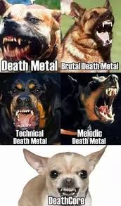 Good Friends and a Bottle of Pills. Pantera. Heavy Metal Memes ... via Relatably.com