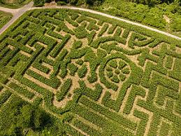 10 best corn mazes to visit this fall