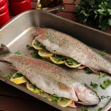 5 rainbow trout recipes