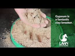 applying gypsum for clay soil lawns