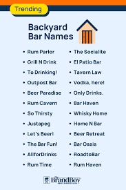backyard bar names 972 best and cool