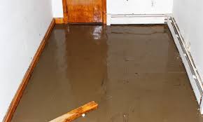 Sewage Backup In Basement Causes And Fixes