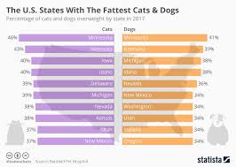 Chart The U S States With The Fattest Cats Dogs Statista