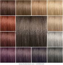 Color Chart Tints Hair Color Palette Beauty Fashion Stock