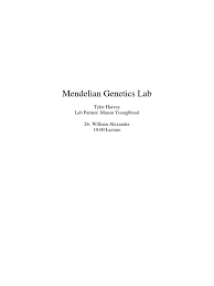 genetics of drosophila lab answers fruit fly lab report mendelian genetics lab fruit fly experiment