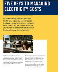Managing Your Electricity Costs A Guide For Business Pdf