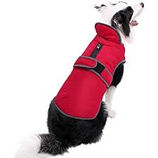 Amazon Com Kurgo Loft Jacket Reversible Dog Coat For