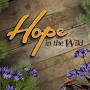 hope in the wild tv show from googleweblight.com