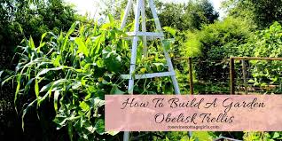 How To Build A Garden Obelisk Trellis