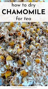 We did not find results for: How To Dry Chamomile For Tea Homemade Mastery