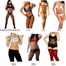 Bmi Overweight And Attractiveness Christianity And