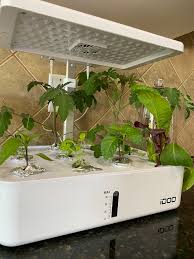 idoo hydroponics growing system review