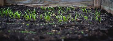 soil is right for your garden
