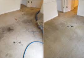 carpet cleaning and stain removal
