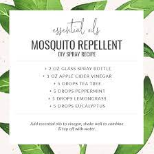 10 essential oils for repelling bugs