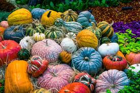 Decorate Pumpkins And Gourds
