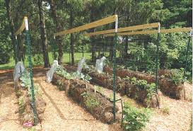 Provides a potassium boost to your plants. How Do Straw Bale Gardens Work Quarto Knows Blog