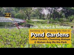 4k rumbling trip to pond gardens