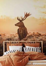 Majestic Deer Wall Mural 5514 8