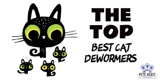 We did not find results for: 10 Best Safest Cat Dewormers Deworm Cats At Home Naturally Pets Beast