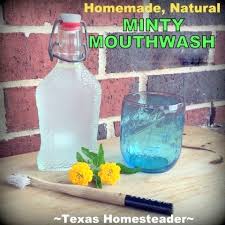 make your own homemade minty mouthwash