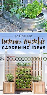 Container Vegetable Gardening Ideas