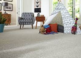carpet shares the flooring belt daily