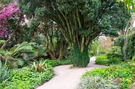 national botanic garden kilmacurragh