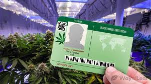Since colorado voters passed amendment 64 in 2012, adults aged 21 and over are legally allowed to grow up to 6 marijuana plants (three of which can be flowering) and possess all of the marijuana that they grow. Apply For A Medical Marijuana Card In Colorado Updated