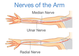 nerve damage in the hand golden state