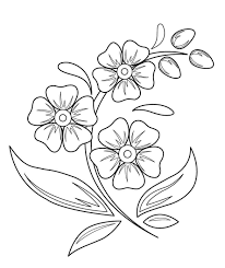 Beautiful flower and background art design. Simple Beautiful Flower Drawings Novocom Top
