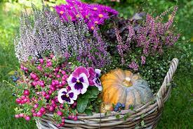 Fall Container Design Ideas