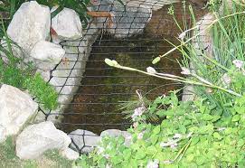 Pond Safety Net Protect A Pond By