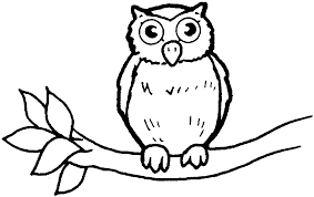 Free Owl Outline Download Free Clip Art Free Clip Art On Clipart