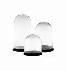 10 Easy Pieces Glass Cloche Terrariums