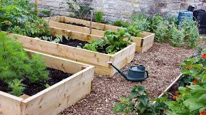 finding the best raised bed kit earth911