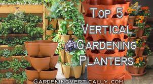 Growing Vertical Gardens Gardening