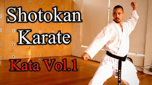 Body movement in various kata includes stepping, twisting, turning, dropping to the ground, and jumping. The First 5 Kata Of Shotokan Karate Step By Step Tutorial Youtube
