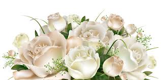white rose flower rose flower bouquet